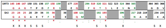 Residues_in_ligand_interaction_diagram_comparing_SIRT3_to_1YC2.jpeg Residues_in_ligand_interaction_diagram_comparing_SIRT3_to_1YC2.jpeg