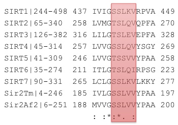 multiple_sequence_alignment_showing_B-pocket_residues_that_template_induced_fit_moved.jpeg